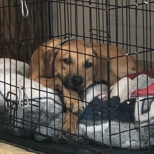 Meet your Posher, Timothy